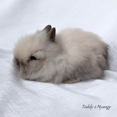 Vrh S27 - VOLNÝ 1 KLUK JIŽ K ODBĚRU !!!